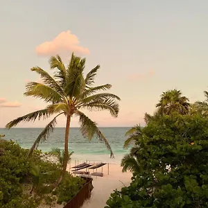 **** Hotel Libelula Beachfront Mexico